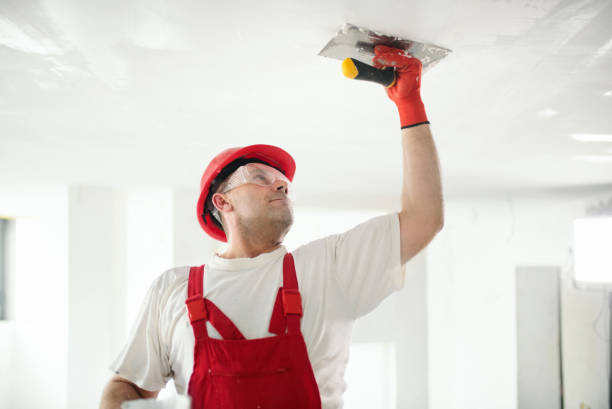 Best Fire-Damaged Drywall Repair  in Gleason, TN